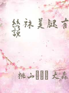 丝袜美腿有声小说