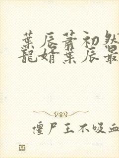 叶辰萧初然上门龙婿叶辰最新章节