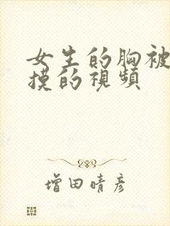 女生的胸被男生摸的视频