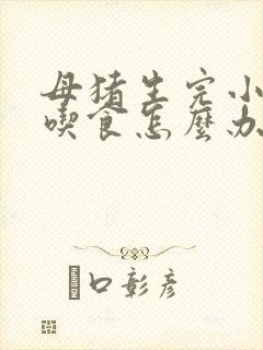 母猪生完小猪不吃食怎么办