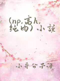 (np,高h,纯肉) 小说