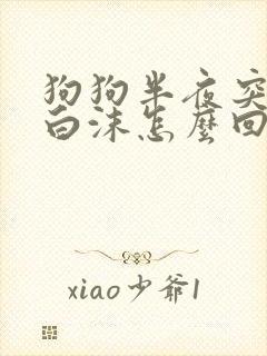 狗狗半夜突然吐白沫怎么回事