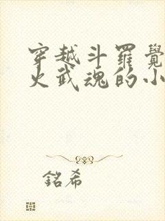 穿越斗罗觉醒异火武魂的小说