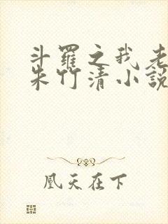 斗罗之我老婆是朱竹清小说