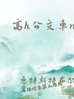 高h公交车np