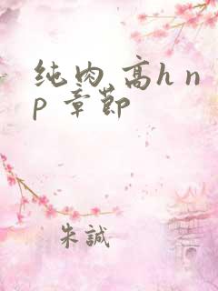 纯肉 高h np 章节