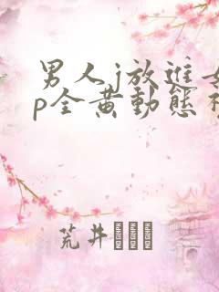 男人j放进女人p全黄动态视频