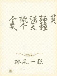 全职法师莫凡有几个天种