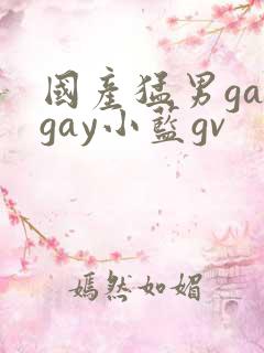 国产猛男gaygay小蓝gv