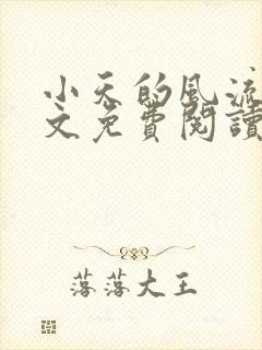 小天的风流史全文免费阅读最新章节