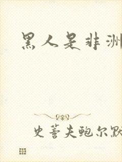 黑人是非洲人吗