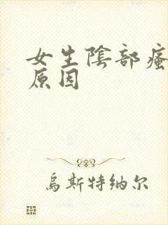 女生阴部瘙痒的原因