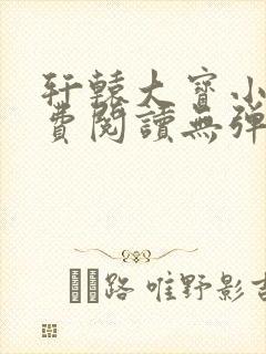 轩辕大宝小说免费阅读无弹窗全文