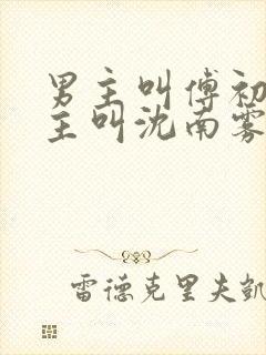 男主叫傅初安女主叫沈南雾的小说