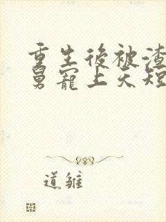 重生后被渣男舅舅宠上天短剧全集