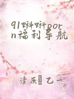 91蝌蚪porn福利导航