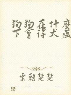 狗狗在什么情况下会得犬瘟