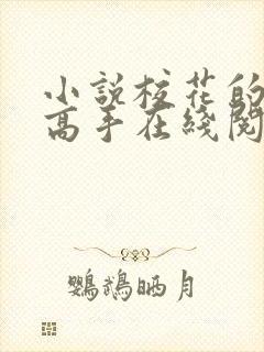 小说校花的贴身高手在线阅读