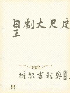 日剧大尺度双男主