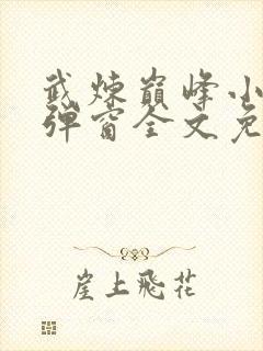 武炼巅峰小说无弹窗全文免费阅读