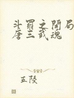 斗罗之开局揭露唐三武魂