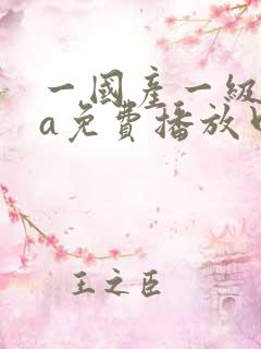 一国产一级淫片a免费播放口