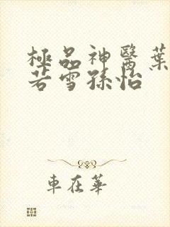 极品神医叶辰夏若雪孙怡