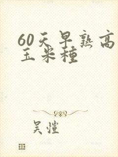 60天早熟高产玉米种