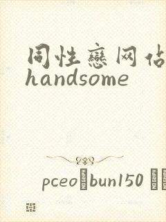 同性恋网站欧美handsome