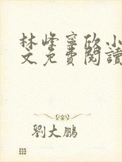 林峰宁欣小说全文免费阅读笔趣阁