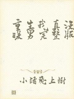 重生我真没想当暖男完整版