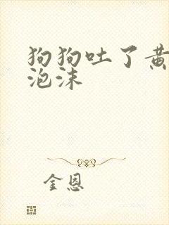 狗狗吐了黄水带泡沫