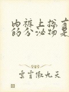 内裤上总有黄色的分泌物是怎么回事