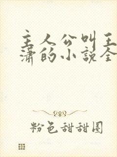 主人公叫王东唐潇的小说全文免费阅读笔趣阁