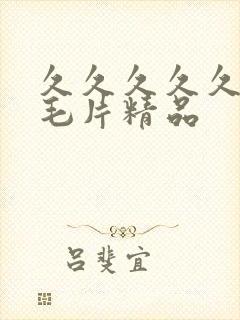 久久久久久久久毛片精品