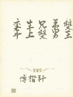 孪生兄弟双胞胎年上双男主小说