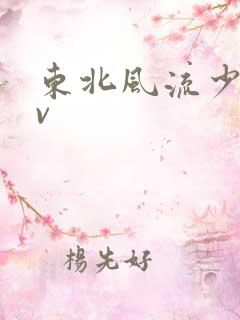 东北风流少妇av