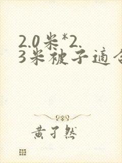 2.0米*2.3米被子适合的被套