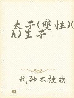 太子(双性)(h)生子