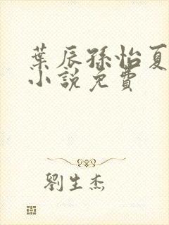 叶辰孙怡夏若雪小说免费