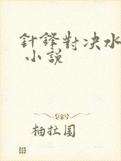 针锋对决水千丞 小说