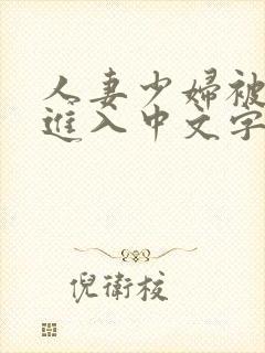 人妻少妇被猛烈进入中文字幕