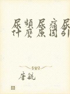 尿频尿痛尿出血什么原因引起的