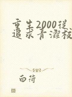重生2000从追求青涩校花同桌开始txt