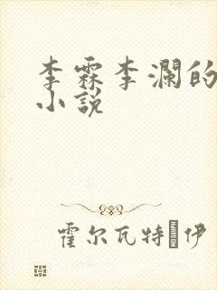 李霖李澜的官场小说