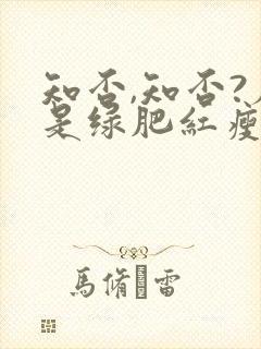 知否,知否?应是绿肥红瘦在线观看