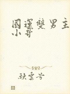 国运双男主cp小哥