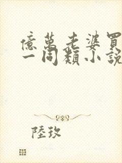 亿万老婆买一送一同类小说