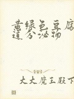 黄绿色豆腐样阴道分泌物