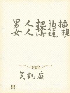 男人把jb插入女人阴道视频